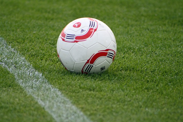 四强的重要 四强的重要