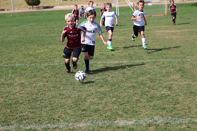 流感病毒的 流感病毒的