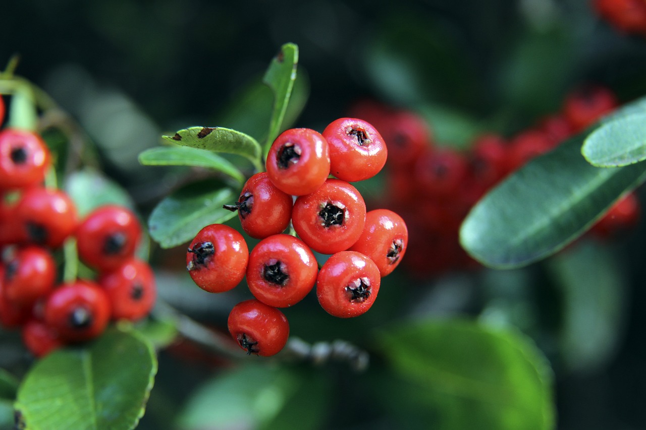 满挑战的旅 满挑战的旅