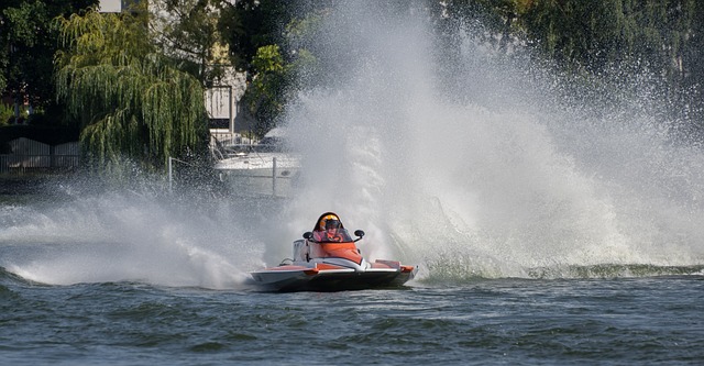 出了代价 出了代价