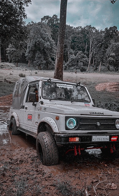 诚信与担当 诚信与担当