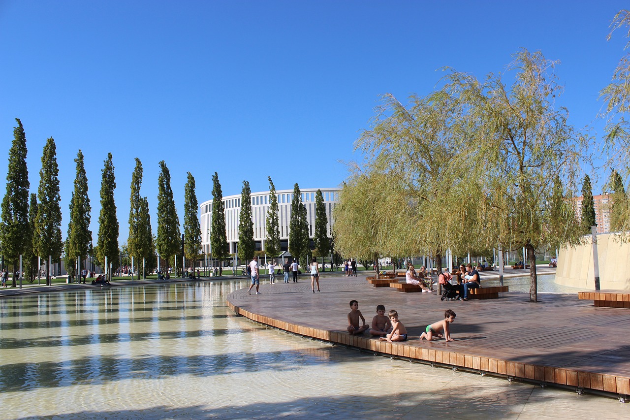 在接下来的 在接下来的