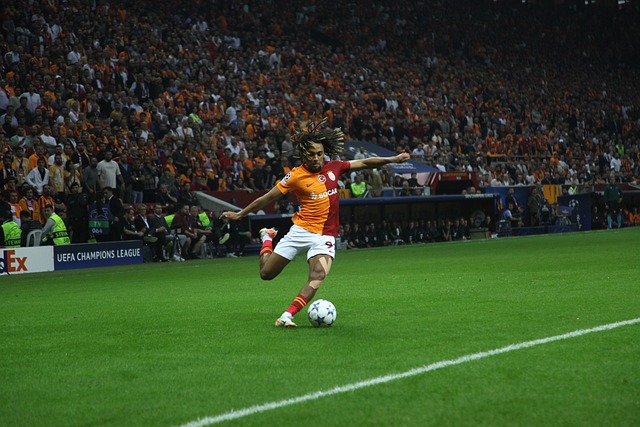 級運動員的 級運動員的