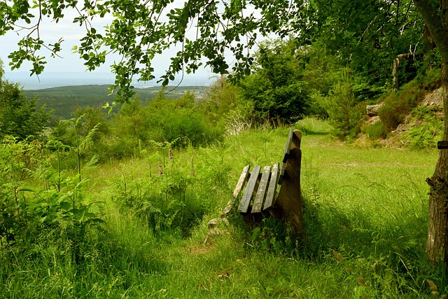 聚力和战斗 聚力和战斗