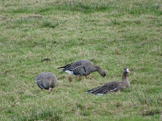 赛的结果充 赛的结果充