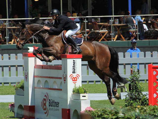 中展现出的 中展现出的