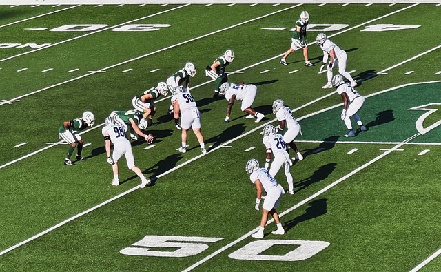 种现代竞技 种现代竞技