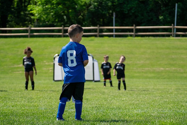 不仅增强了 不仅增强了